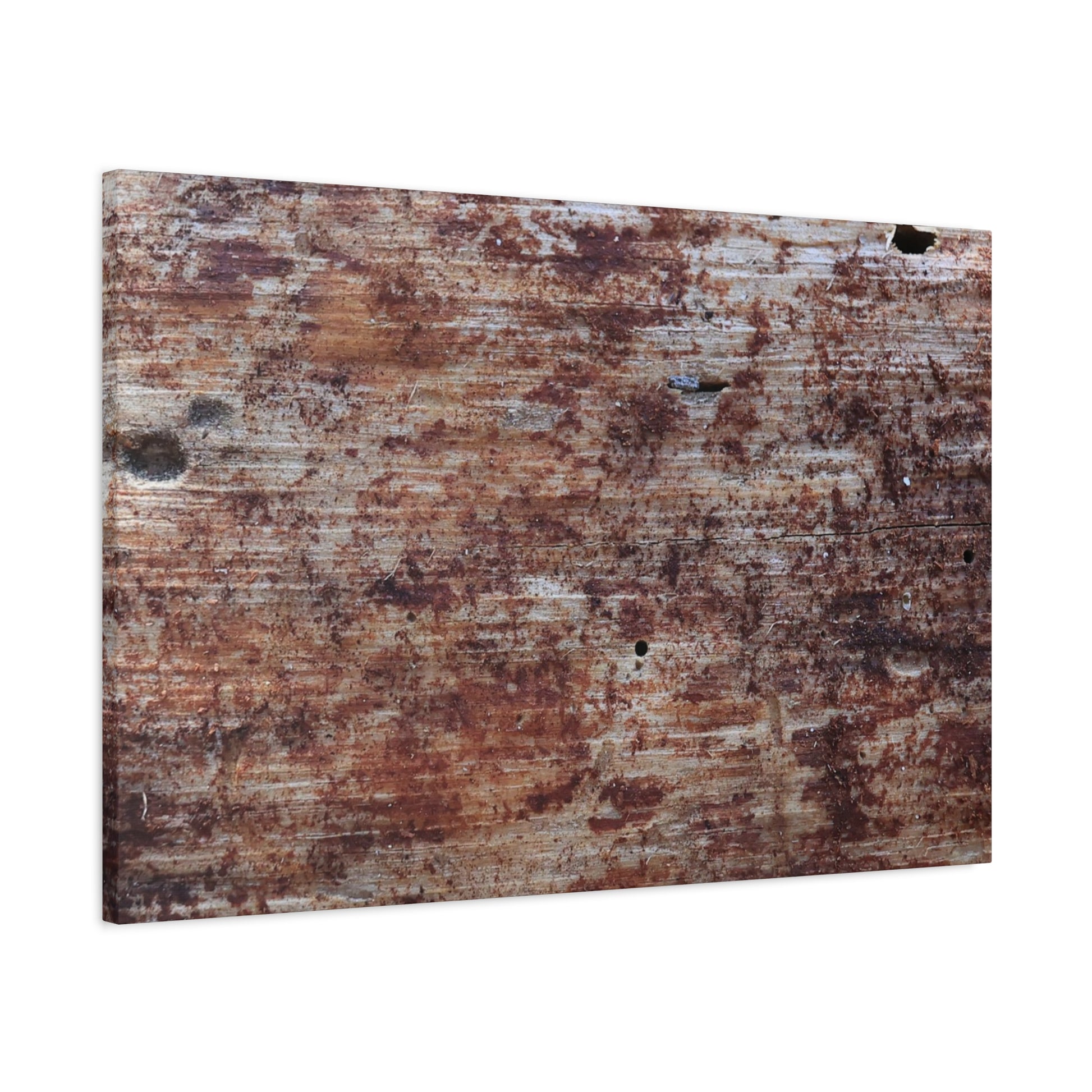 Decaying Memoir - Unique Frameless Canvas Wall Art - Art By Earth