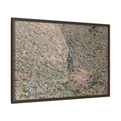 Mountain Slope with Desert Vegetation - Unique Stretched Canvas Wall Art - Art By Earth