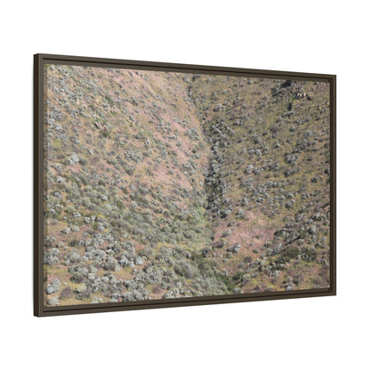 Mountain Slope with Desert Vegetation - Unique Stretched Canvas Wall Art - Art By Earth