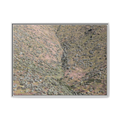 Mountain Slope with Desert Vegetation - Unique Stretched Canvas Wall Art - Art By Earth