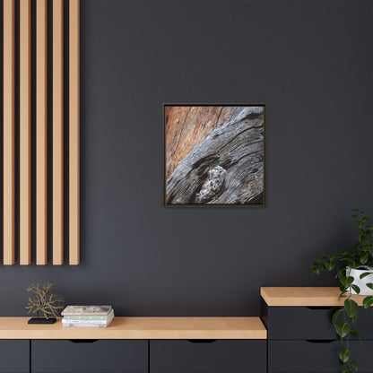 Time's Mark on Timber - Unique Stretched Canvas Wall Art - Art By Earth