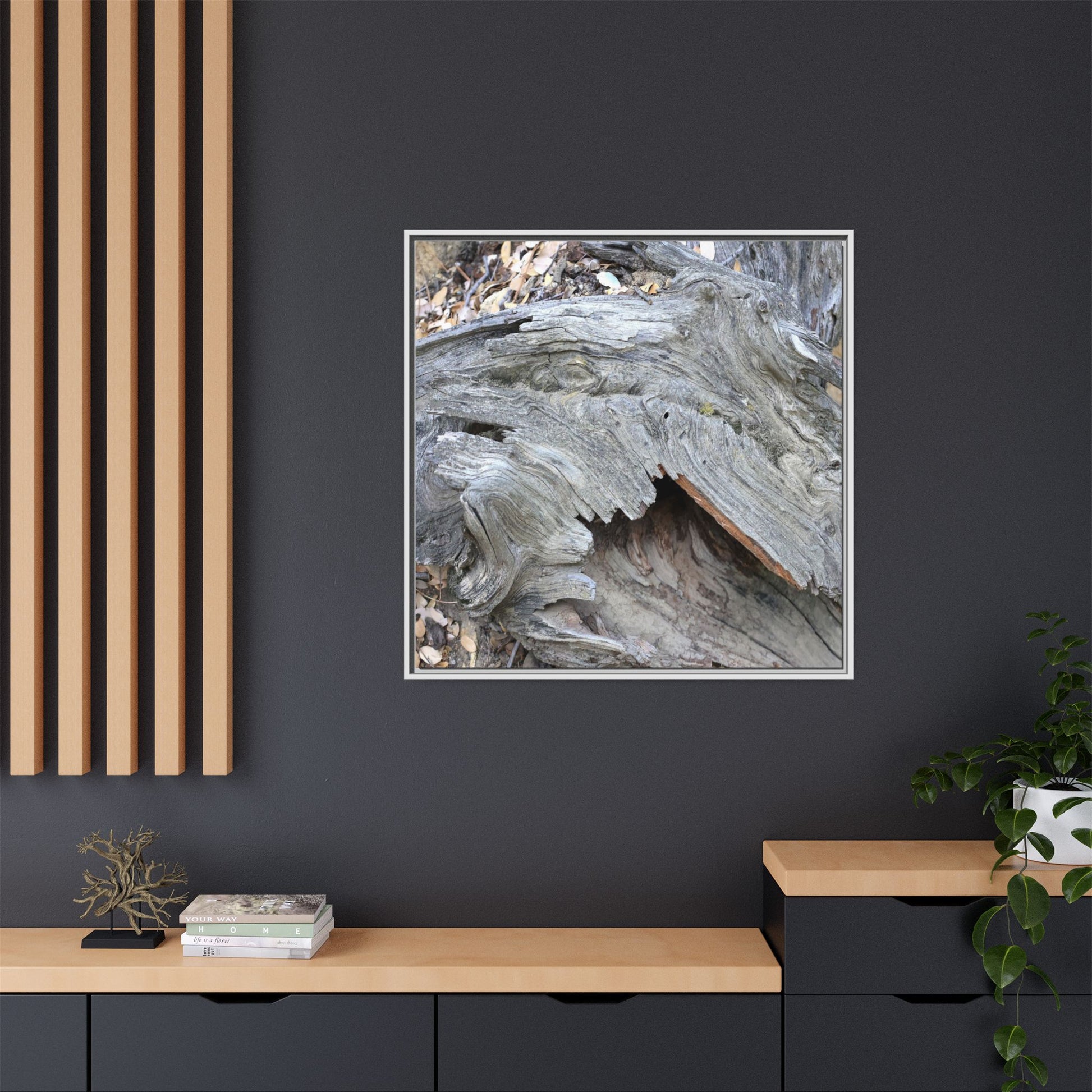 Driftwood Dreams - Unique Stretched Canvas Wall Art - Art By Earth