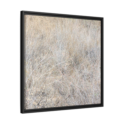 Whispers of Dry Grass - Unique Stretched Canvas Wall Art - Art By Earth