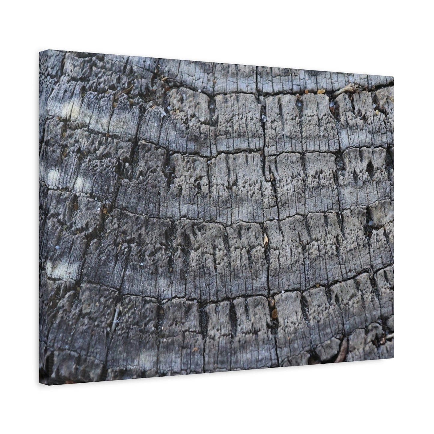 Whispers of Age - Unique Frameless Canvas Wall Art - Art By Earth