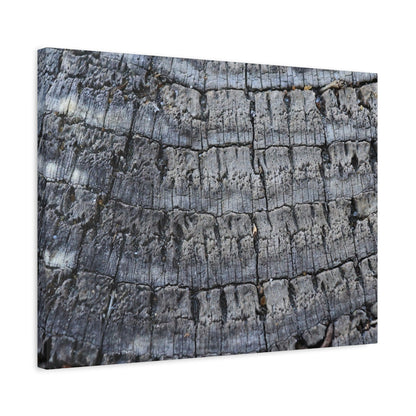 Whispers of Age - Unique Frameless Canvas Wall Art - Art By Earth