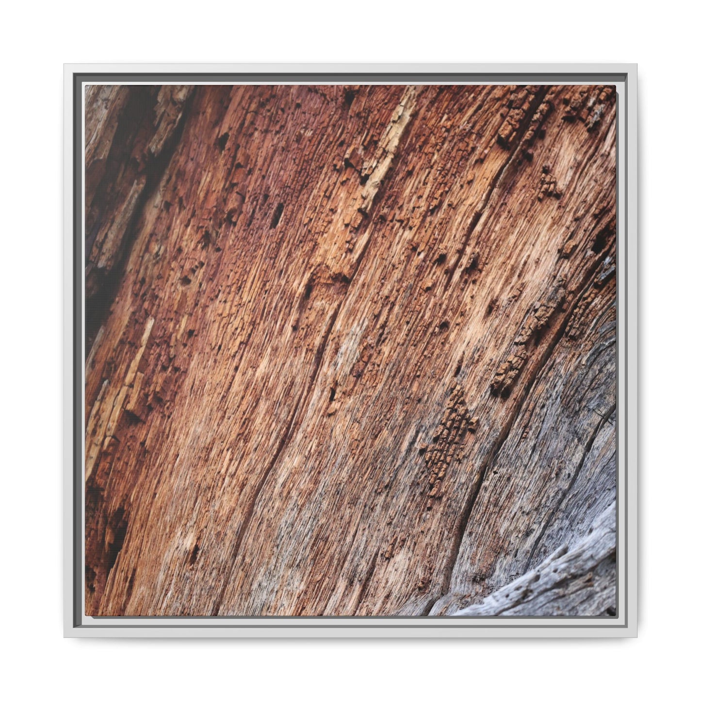 Time's Mark - Unique Stretched Canvas Wall Art - Art By Earth