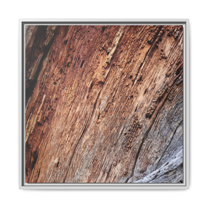 Time's Mark - Unique Stretched Canvas Wall Art - Art By Earth