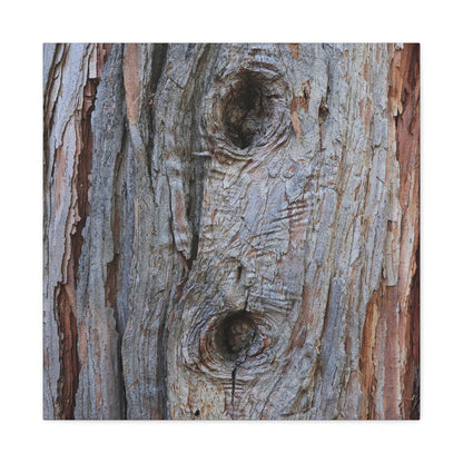 Wooden Memoir - Unique Frameless Canvas Wall Art - Art By Earth