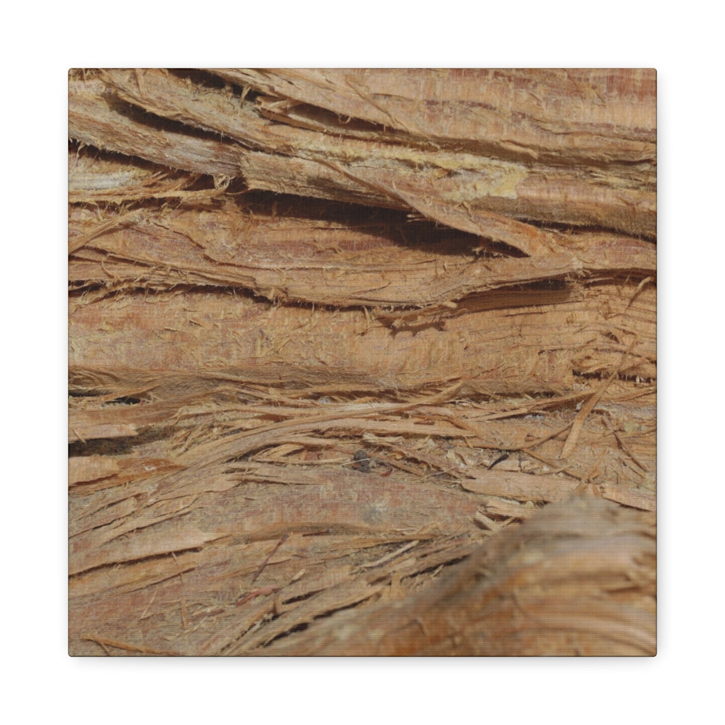 Layers of Memory - Unique Frameless Canvas Wall Art - Art By Earth