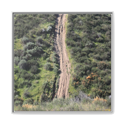 Desert Path Through Sage - Unique Stretched Canvas Wall Art - Art By Earth