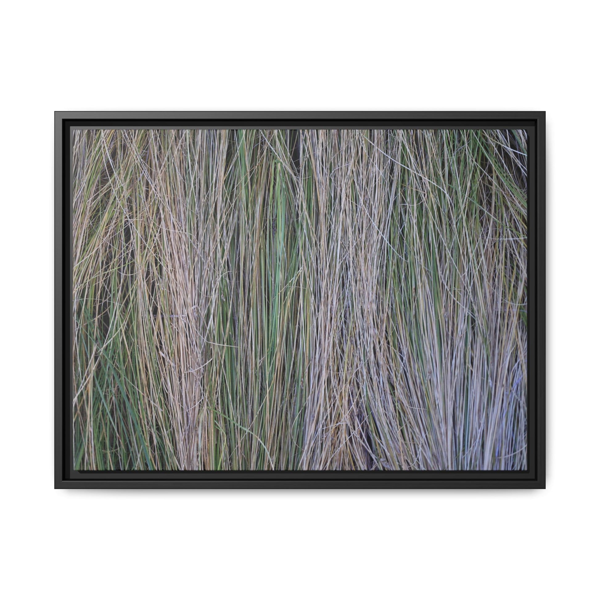 Whispers of Silver Grass - Unique Stretched Canvas Wall Art - Art By Earth