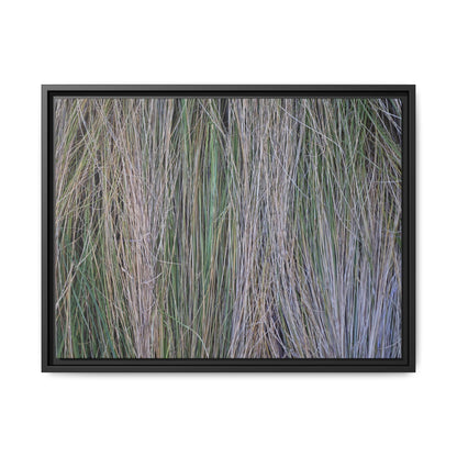 Whispers of Silver Grass - Unique Stretched Canvas Wall Art - Art By Earth