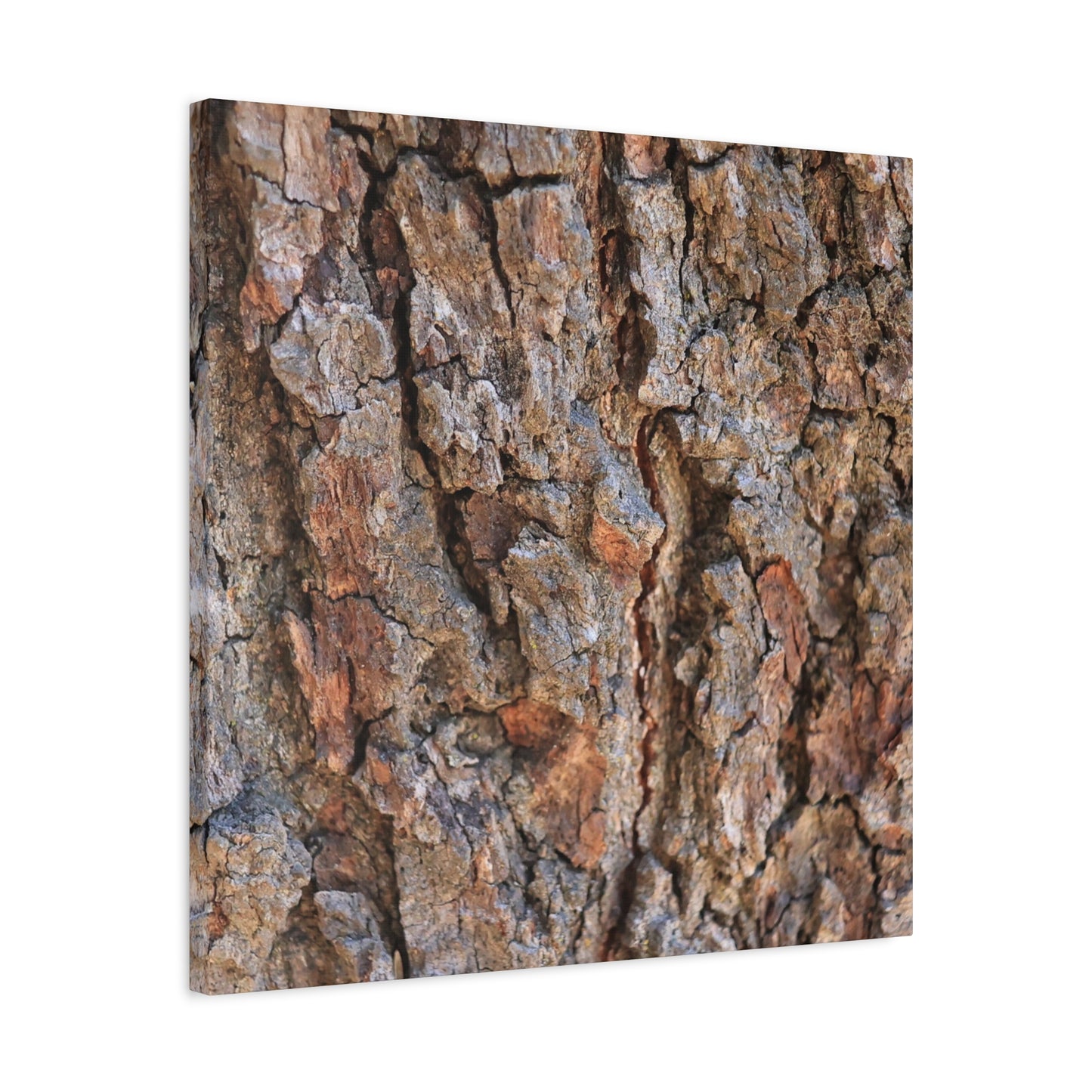 Roots of Time - Unique Frameless Canvas Wall Art - Art By Earth