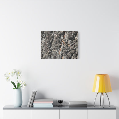Arboreal Skin - Unique Frameless Canvas Wall Art - Art By Earth