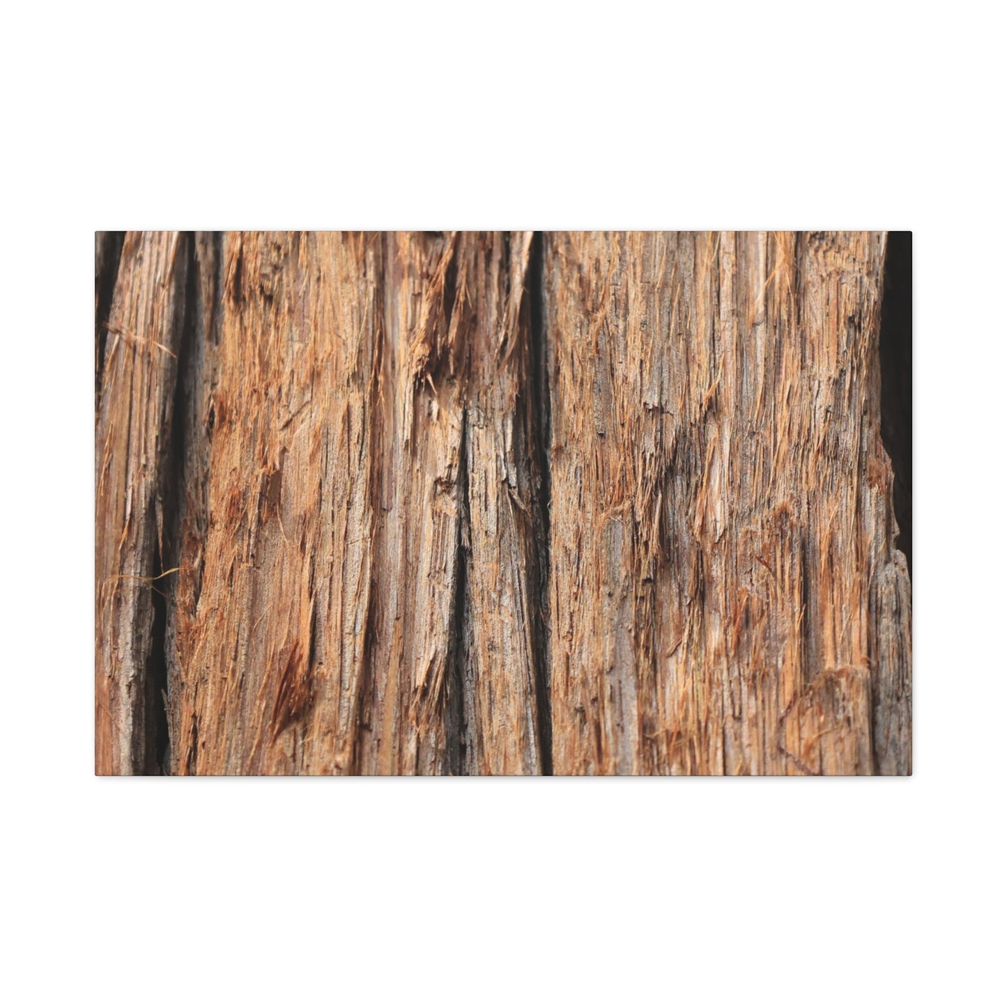 Woodland Echoes - Unique Frameless Canvas Wall Art - Art By Earth