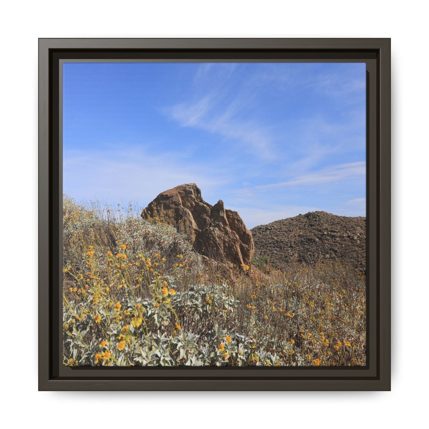 Golden Flowers in Arid Landscape - Unique Stretched Canvas Wall Art - Art By Earth