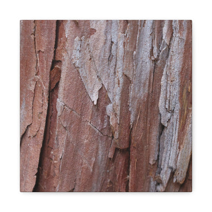 Peeling Paint - Unique Frameless Canvas Wall Art - Art By Earth