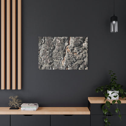 Arboreal Skin - Unique Frameless Canvas Wall Art - Art By Earth