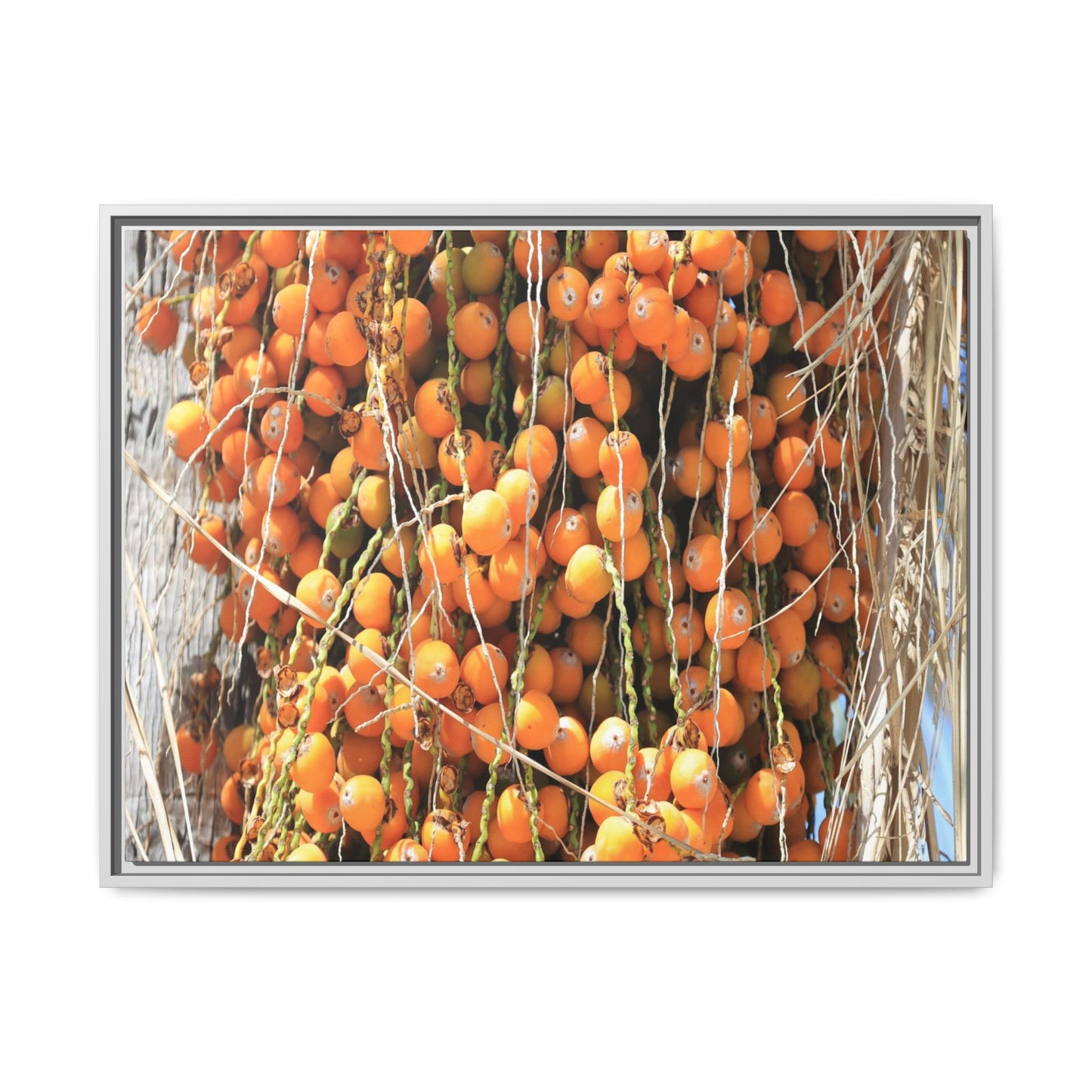 Clusters of Sunlight - Unique Canvas Wall Art - Art By Earth