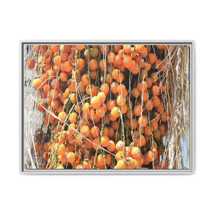 Clusters of Sunlight - Unique Canvas Wall Art - Art By Earth