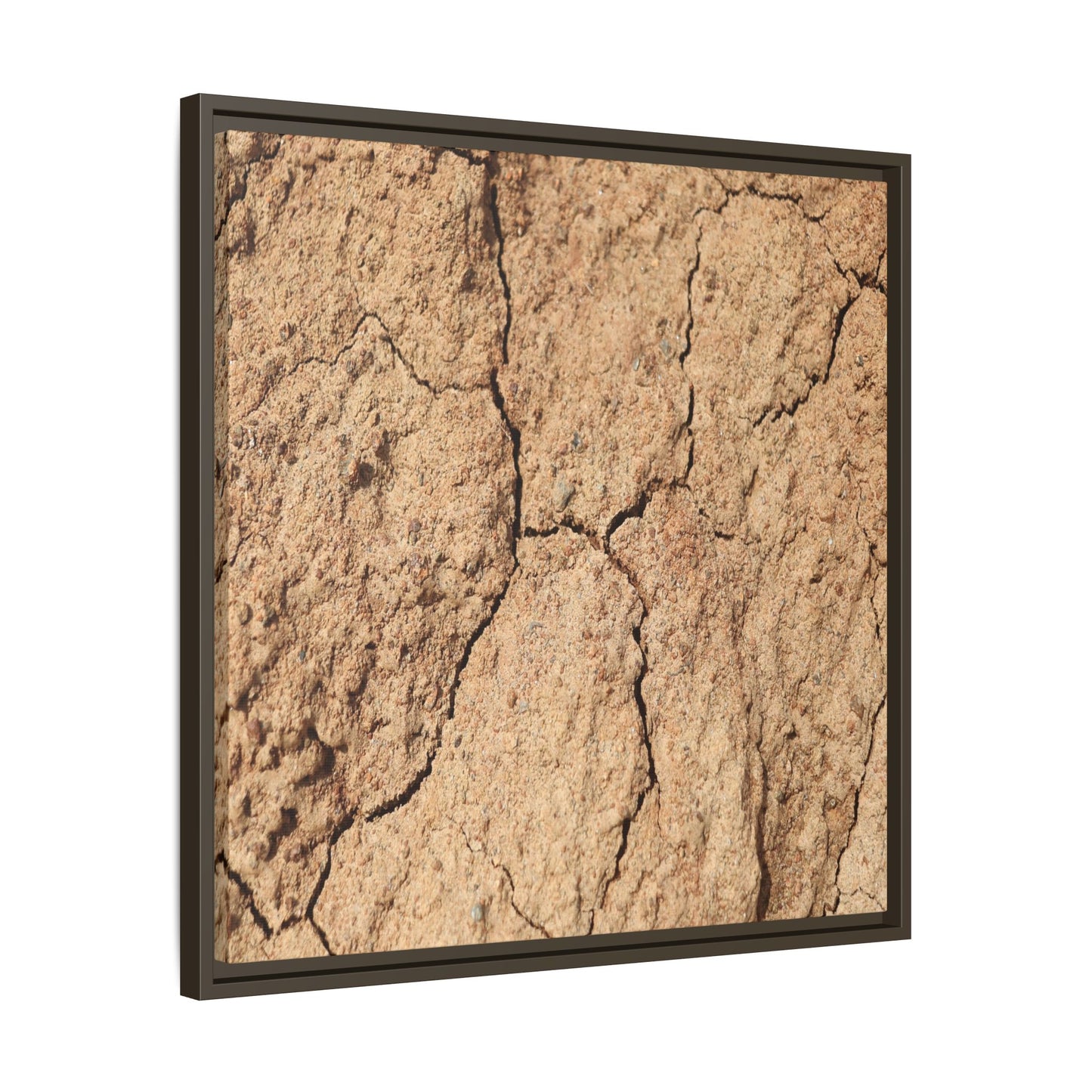 Parched Land - Unique Stretched Canvas Wall Art - Art By Earth