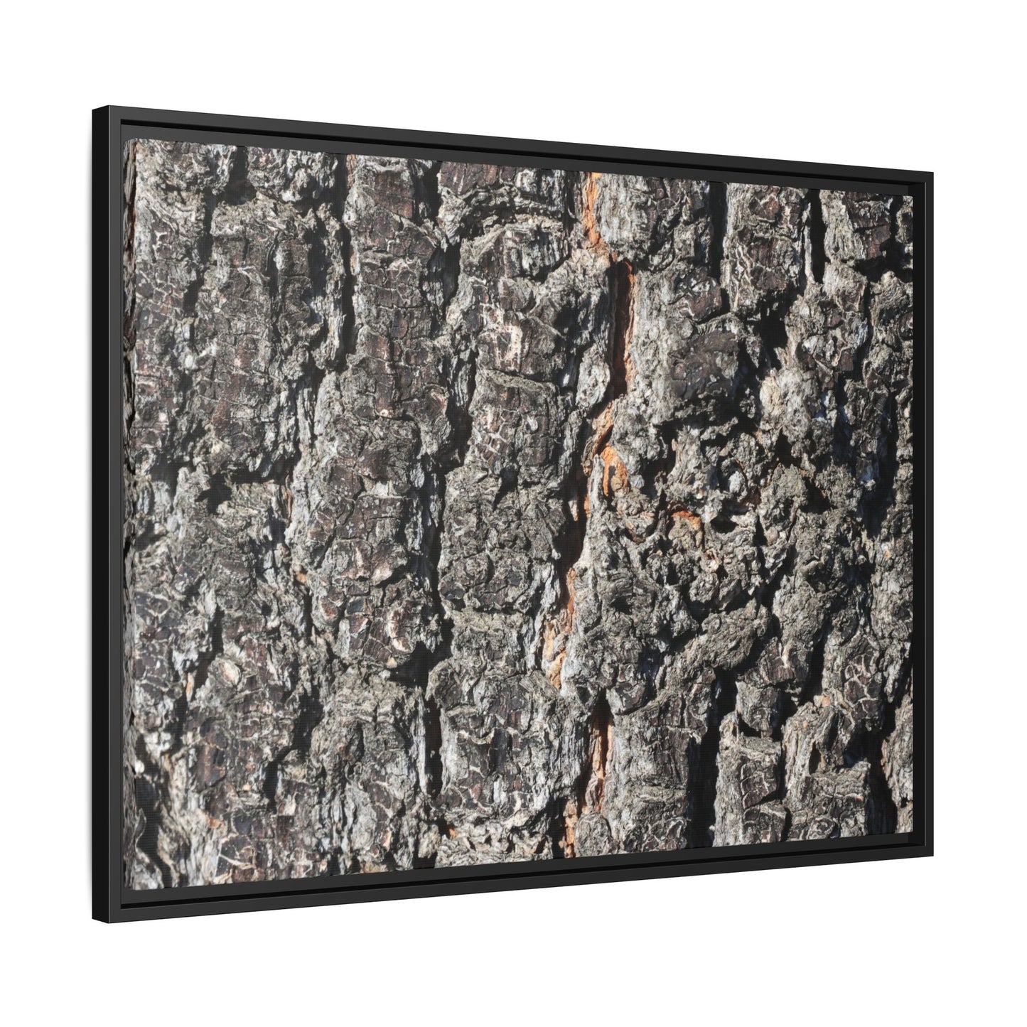 Aged Beauty - Unique Stretched Canvas Wall Art - Art By Earth