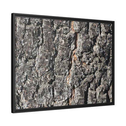 Aged Beauty - Unique Stretched Canvas Wall Art - Art By Earth