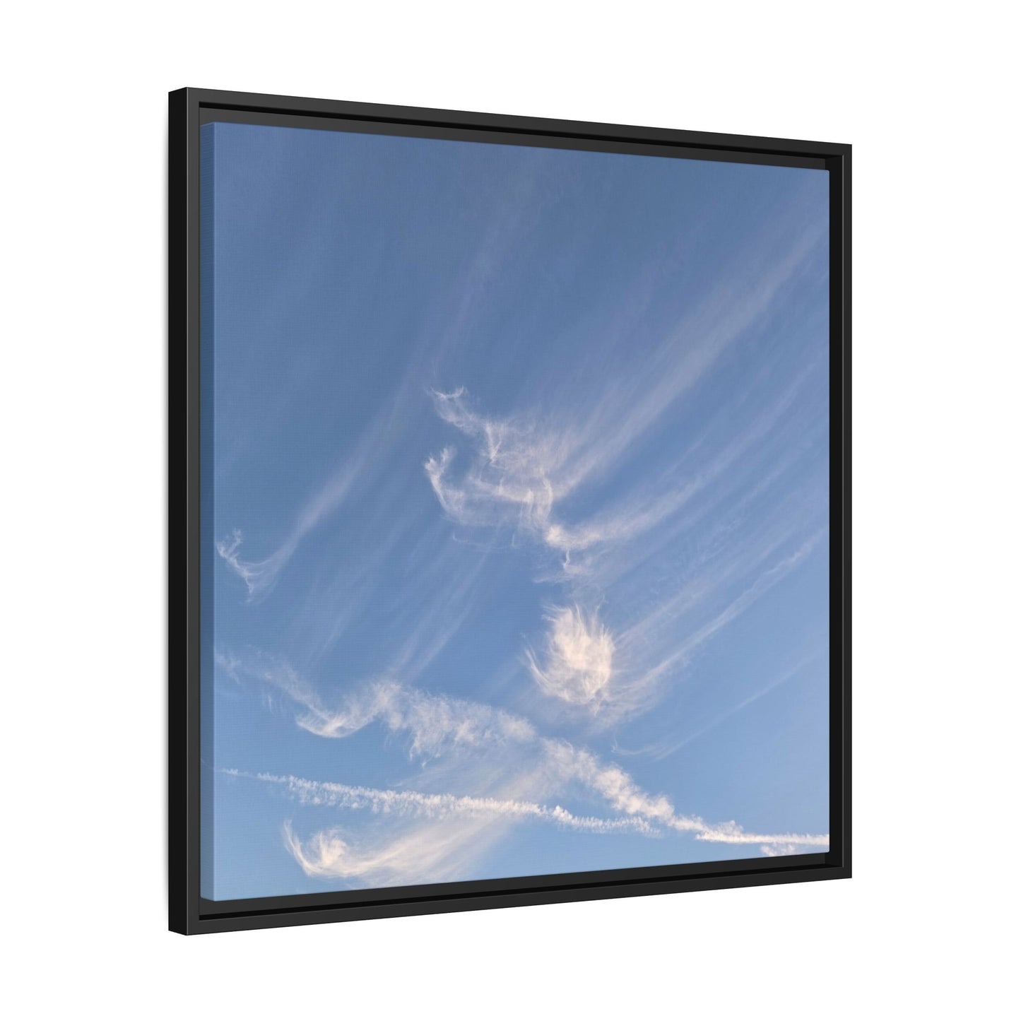 Wispy Dreams - Unique Stretched Canvas Wall Art - Art By Earth