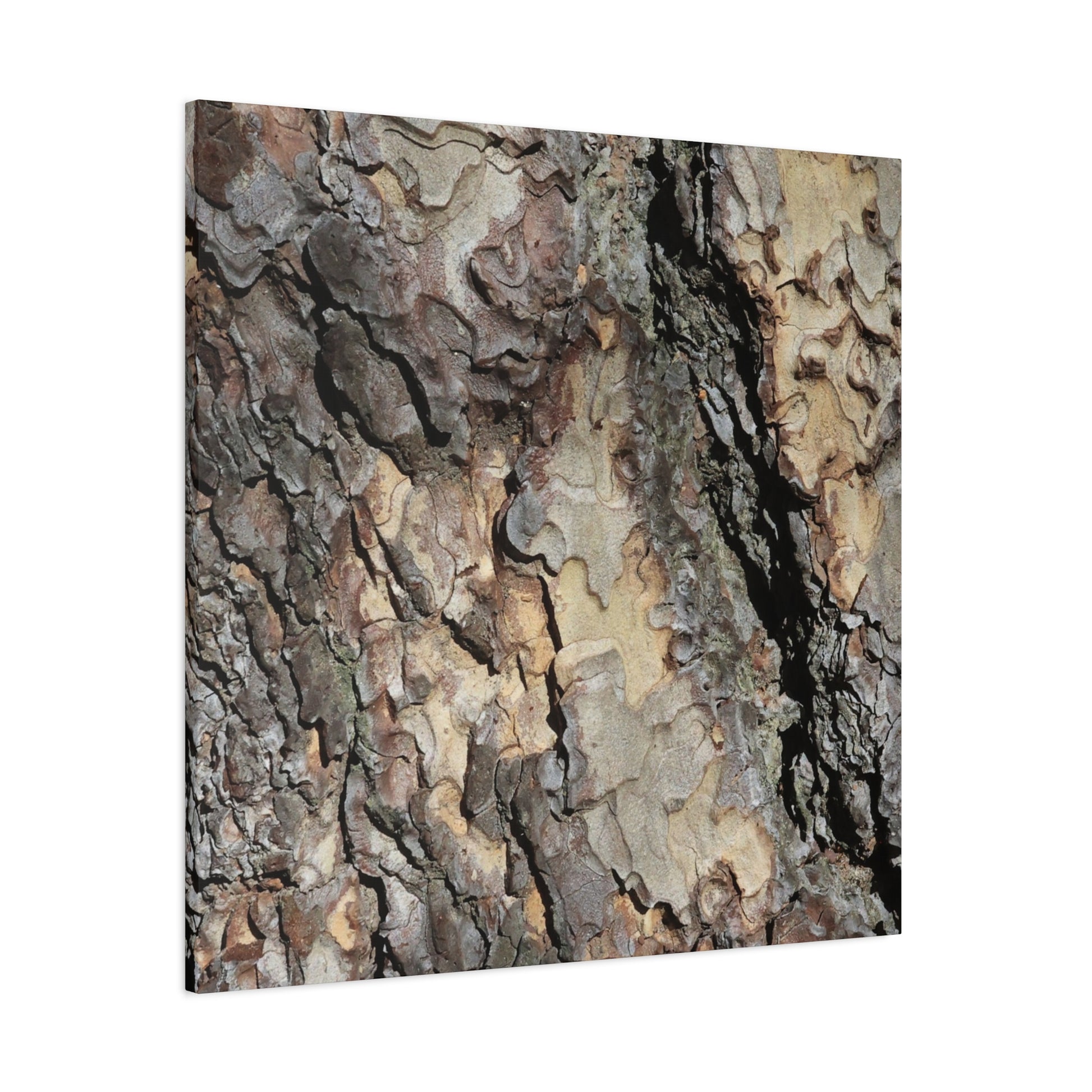 Tree Bark Symphony - Unique Frameless Canvas Wall Art - Art By Earth