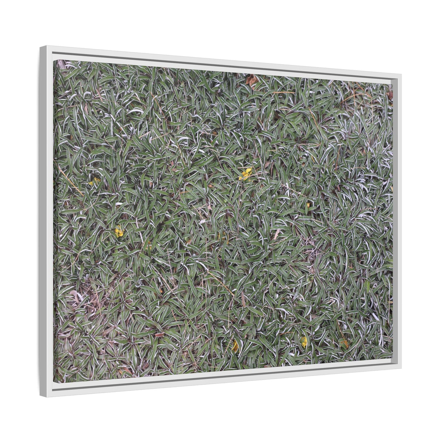 Grassy Texture - Unique Stretched Canvas Wall Art - Art By Earth