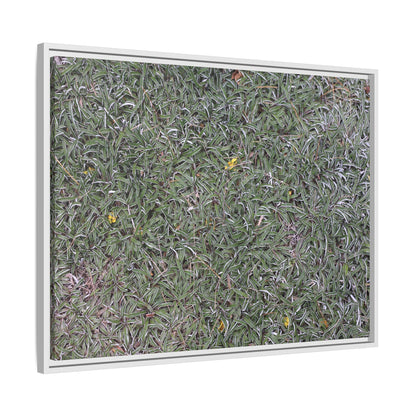 Grassy Texture - Unique Stretched Canvas Wall Art - Art By Earth