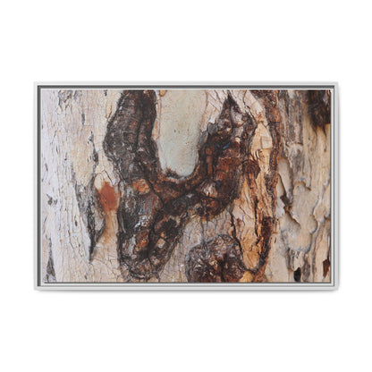 Texture of Time - Unique Stretched Canvas Wall Art - Art By Earth