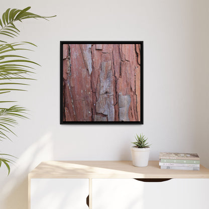 Peeling Bark - Unique Stretched Canvas Wall Art - Art By Earth