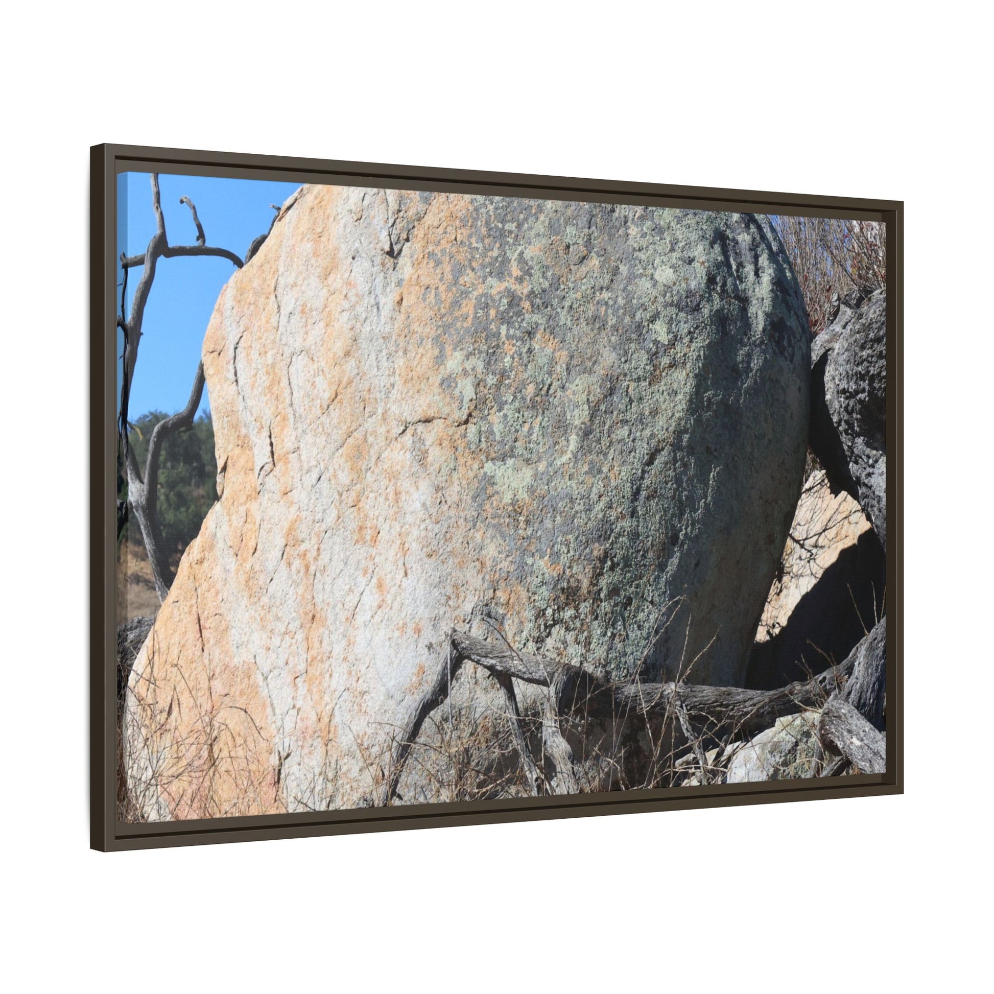 Stony Sentinel - Unique Stretched Canvas Wall Art - Art By Earth