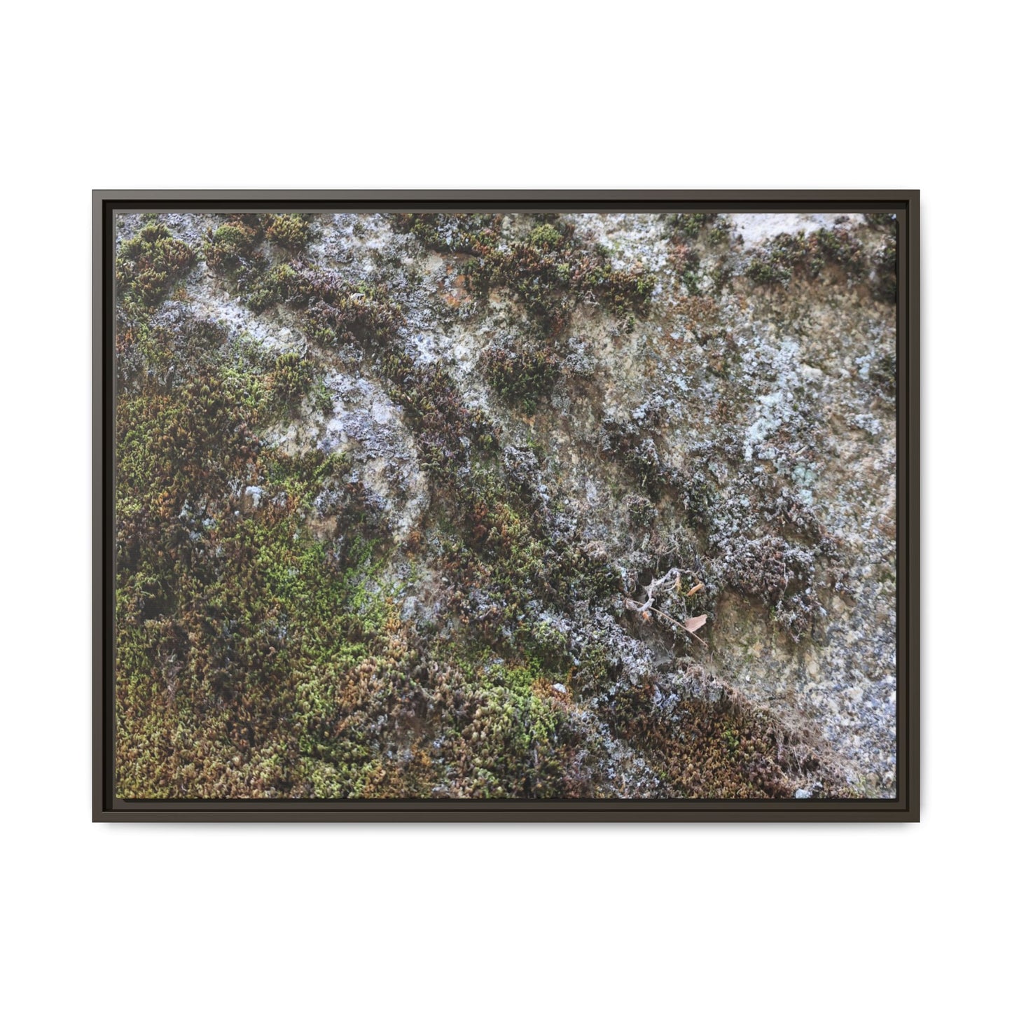 Mossy Whispers - Unique Stretched Canvas Wall Art - Art By Earth