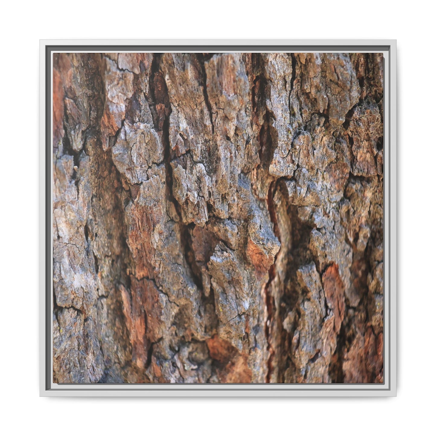 Craggy Textures - Unique Stretched Canvas Wall Art - Art By Earth