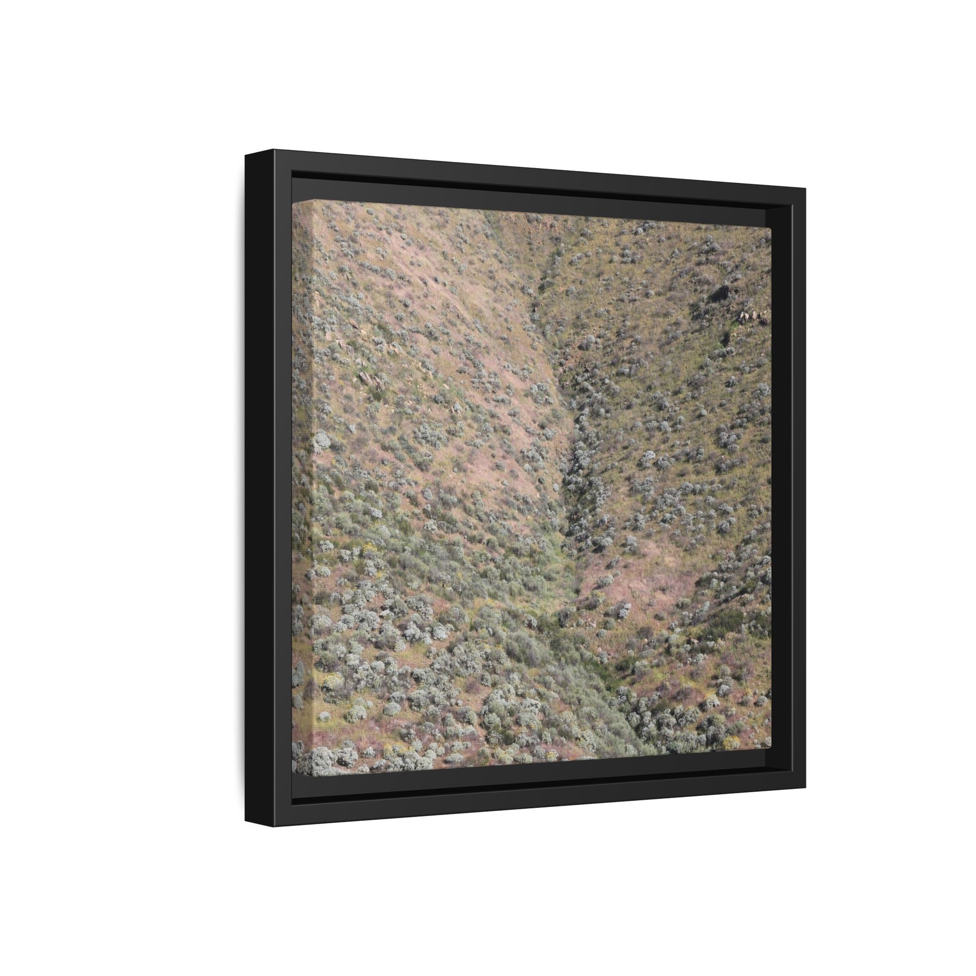 Mountain Slope with Desert Vegetation - Unique Stretched Canvas Wall Art - Art By Earth