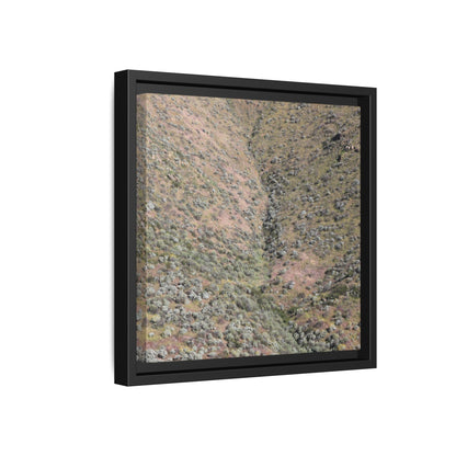 Mountain Slope with Desert Vegetation - Unique Stretched Canvas Wall Art - Art By Earth