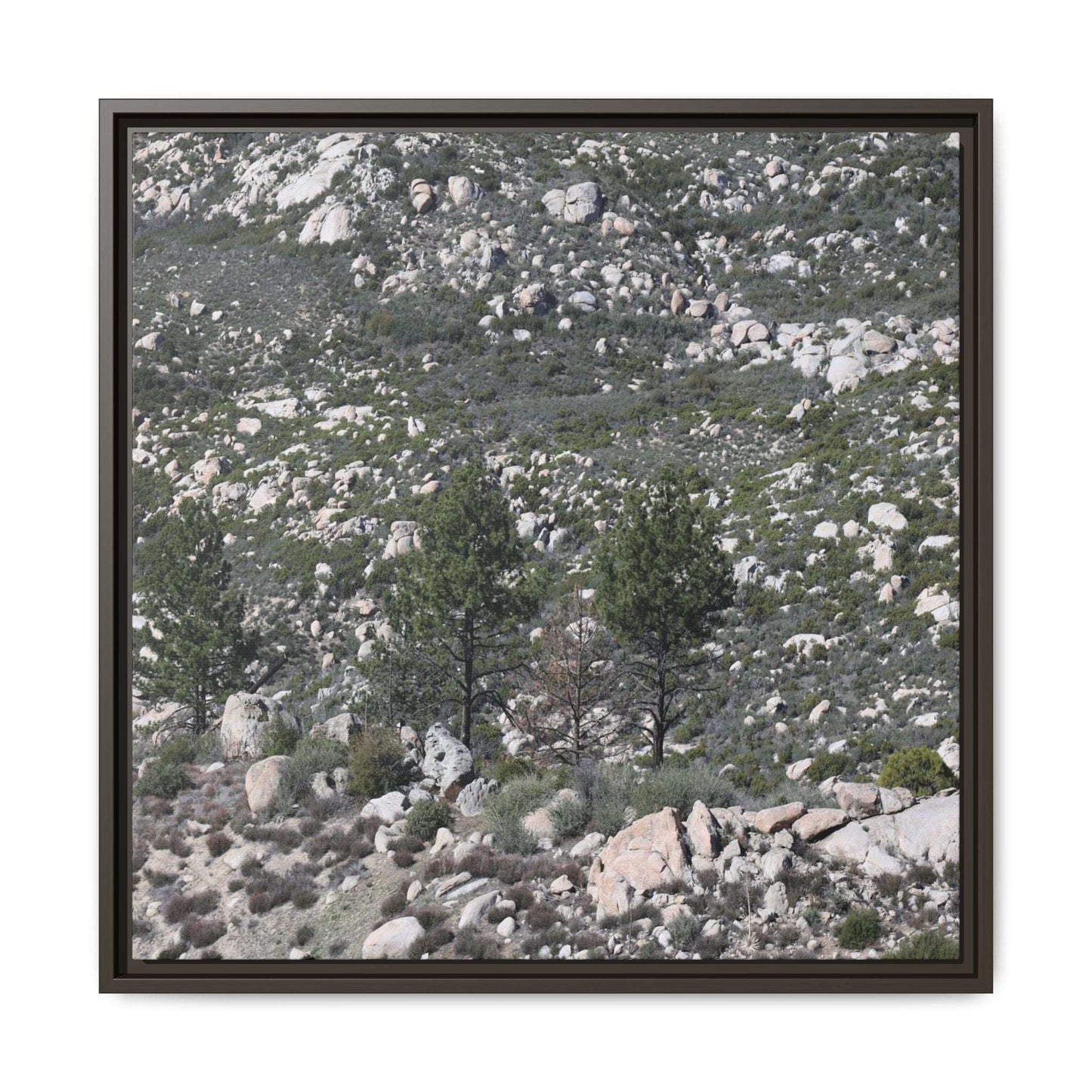 Rocky Hillside with Pine Trees - Unique Stretched Canvas Wall Art - Art By Earth