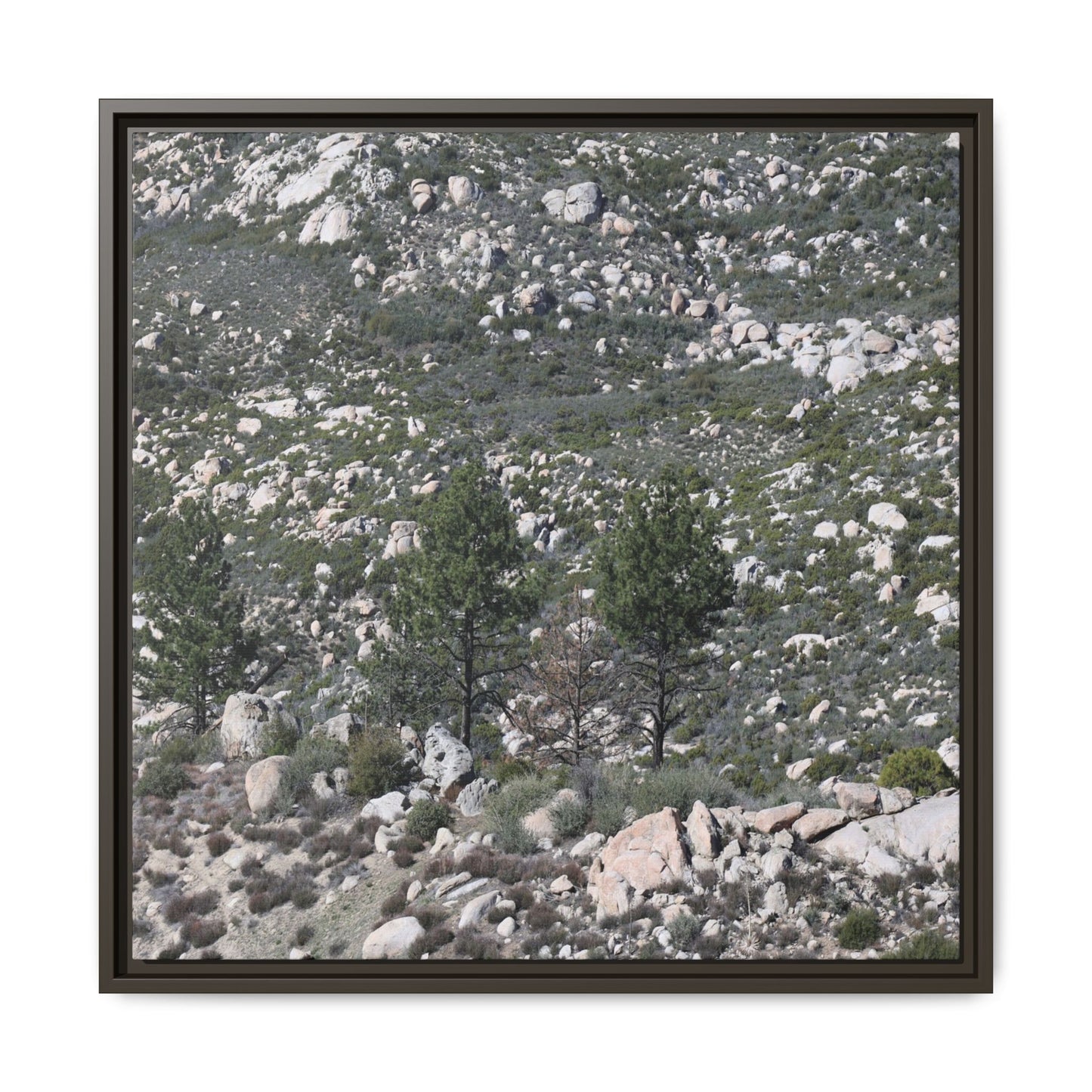 Rocky Hillside with Pine Trees - Unique Stretched Canvas Wall Art - Art By Earth