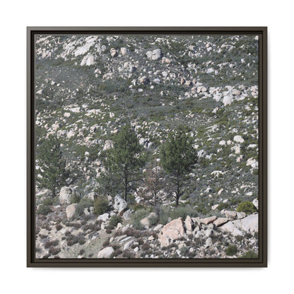 Rocky Hillside with Pine Trees - Unique Stretched Canvas Wall Art - Art By Earth