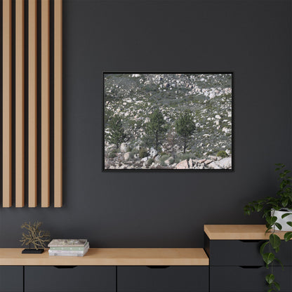 Rocky Hillside with Pine Trees - Unique Stretched Canvas Wall Art - Art By Earth