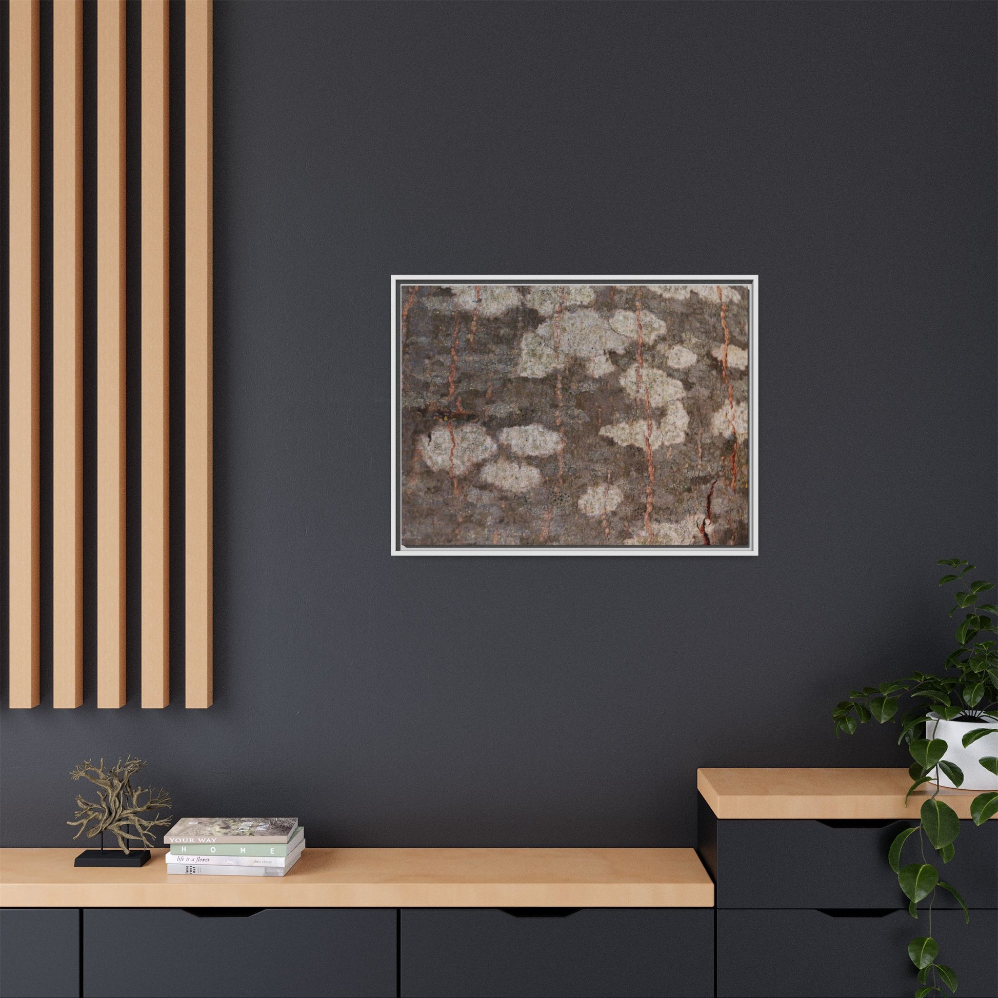 Lichen's Legacy - Unique Stretched Canvas Wall Art - Art By Earth