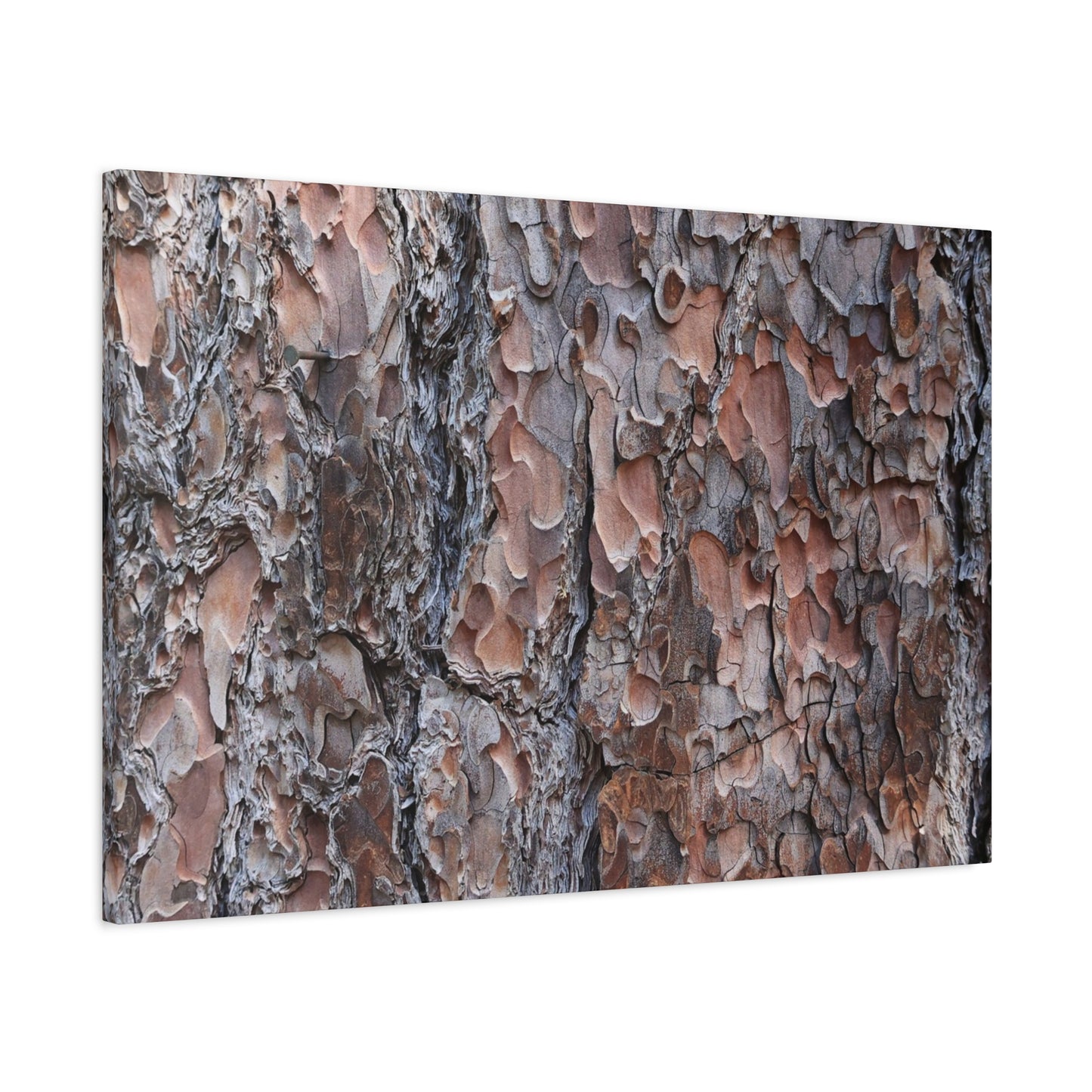 Woodland Armor - Unique Frameless Canvas Wall Art - Art By Earth