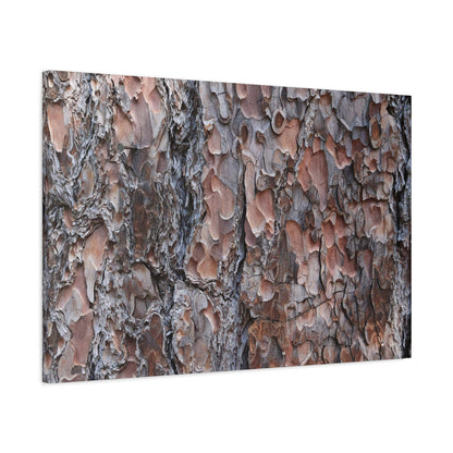 Woodland Armor - Unique Frameless Canvas Wall Art - Art By Earth