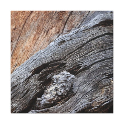 Tree Bark Texture - Unique Frameless Canvas Wall Art - Art By Earth