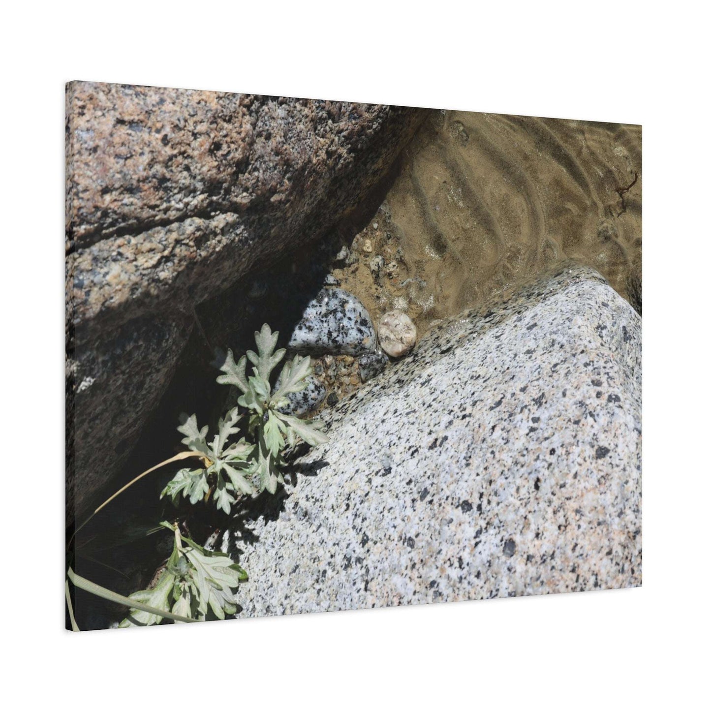 Between Stone and Sand - Unique Frameless Canvas Wall Art - Art By Earth