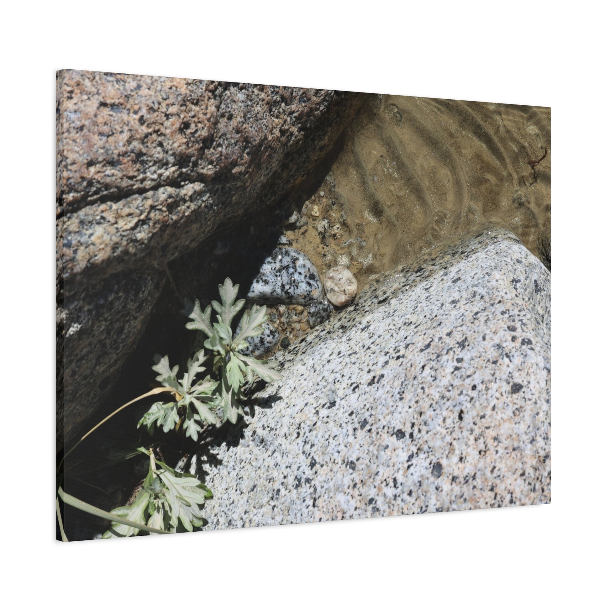 Between Stone and Sand - Unique Frameless Canvas Wall Art - Art By Earth