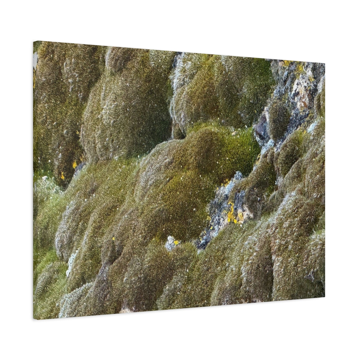 Verdant Stone Symphony - Unique Frameless Canvas Wall Art