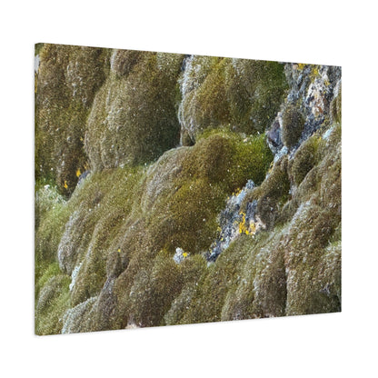 Verdant Stone Symphony - Unique Frameless Canvas Wall Art